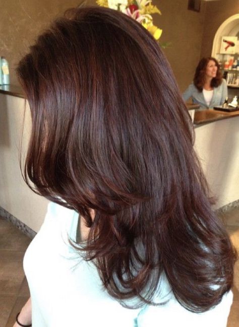 Burgandy Brown Hair, Red Hair On Asian Women, Dyed Hair Inspiration For Brunettes, Mahogany Hair Color Brown, Chocolate Brown Hair With Red Tint, Red Tinted Brown Hair, Brown Hair With Red Tint, Dark Brown Auburn, Cherry Brown Hair