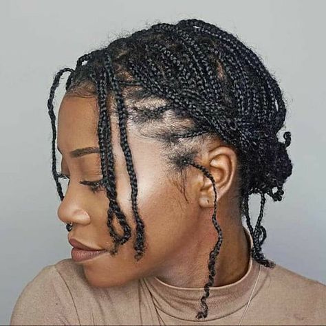 Small Braids Natural Hair No Weave, Mini Twists Long Hair, How To Style Natural Braids, Braided Hairstyles For Short 4c Natural Hair, Mini Braids On Relaxed Hair, Mini Braids Hairstyles For Black Women, Summer Vacay Hairstyles, Mini Plaits Hairstyles Natural Hair, No Extension Protective Styles