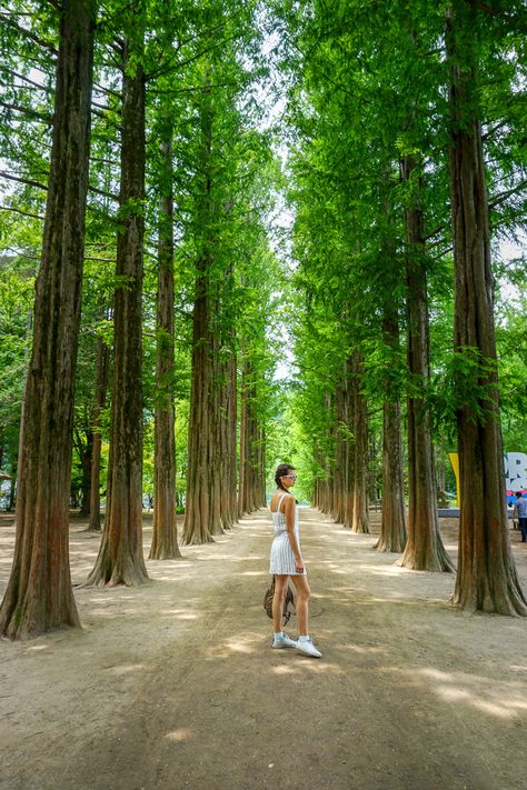 Nami Island Summer, Nami Island Photoshoot, Nami Island Spring, Korea Spring Outfit, Nami Island Korea, Japanese Street Fashion Harajuku, Seoul Trip, Munich Shopping, Outfit Images