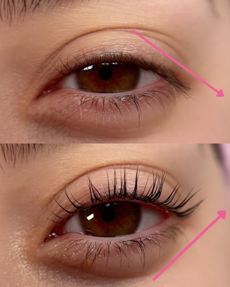 See how a lash lift can change your look in just 50 minutes 🥰✨ Lash Lift And Tint Before And After, Lash Lift Before And After, Lash Lift Aesthetic, Eyelashes Lift, Eyelash Lift And Tint, Lash Lifts, Esthetics Room, Lash Lifting, Eyelash Lift