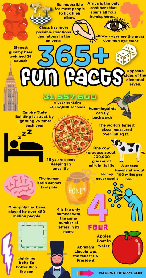 Fun Facts Bulletin Board, Fun Facts About Science, Fun Fact For Kids, Fun Facts About Me Ideas For School, Fun Facts About Me Ideas, Cool Fun Facts, Facts In English, Weird Fun Facts, Interesting Facts For Kids