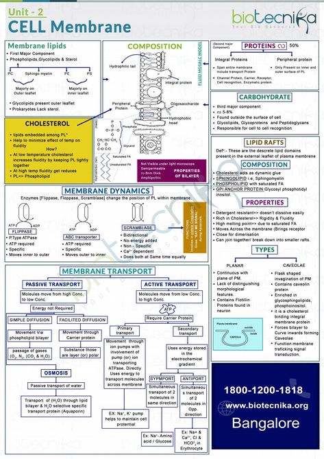 Cell membrane Cell Membrane Notes, Cell Membrane Transport, Cell And Molecular Biology, Cell Biology Notes, Cell Membrane Structure, Biochemistry Notes, Neet Notes, Biology College, Teacher Prayer