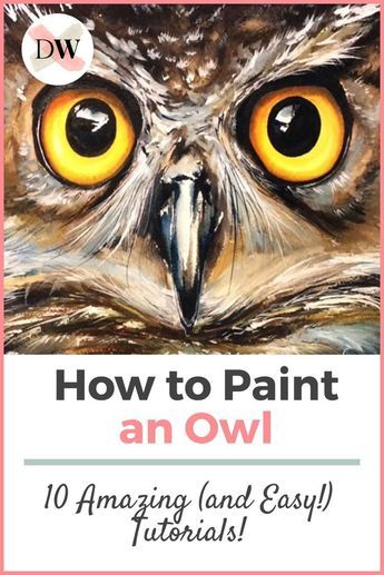 Draw An Owl Easy, Pictures Of Owls To Paint, Fall Owl Painting, Owl Watercolor Paintings Easy, Painted Owls On Wood, How To Paint An Owl, Owl Paintings On Canvas Easy, Owl Painting Easy, Easy Owl Painting