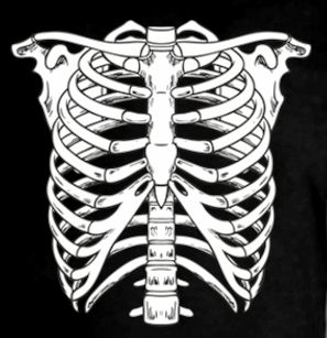 Skeleton Bones Skull Scary Chest Body Cool Tee T-Shirt Skeleton Chest Drawing, Skeleton Body Drawing, Chest Skeleton, Skeleton Chest, Chest Drawing, T Shirt Skeleton, Bone Drawing, Bones Design, Straight Photography