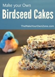 Make your own birdseed cakes with this simple recipe Birdseed Cakes, Homemade Birdseed, Suet Recipe, Backyard Birds Sanctuary, Bird Suet, Suet Cakes, Bird Seed Ornaments, Homemade Bird Houses, Homemade Ideas