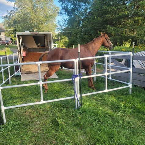 Building portable horse corral from 1 1/4" pvc conduit Portable Horse Corral, Barrel Racing Photography, Horse Projects, Racing Photography, Horse Fence, Pvc Conduit, Livestock Trailers, Horse Corral, Cowboy Crafts