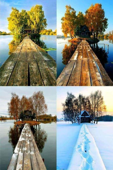 A shack in four different seasons. Photo Series Ideas, Seasons Photography, Photography Series, Different Seasons, Photo Series, Photography Projects, Pretty Places, Beautiful World, Four Seasons