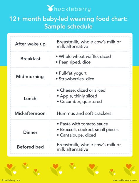 Baby Led Weaning Schedule, Weaning Schedule, Blw First Foods, Led Weaning First Foods, Whole Wheat Waffles, Baby Led Weaning First Foods, Weaning Foods, First Foods, Full Fat Yogurt