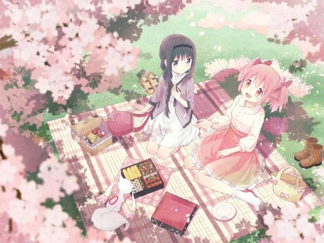 Pink Pc Wallpaper, Madoka And Homura, Akemi Homura, Sakura Tree, Madoka Magica, Trailer