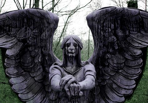 creepy angel Creepy Angel, Sebastian Michaelis, Angel Aesthetic, Southern Gothic, Angel Statues, Ciel Phantomhive, Gothic Aesthetic, Grunge Style, Fallen Angel