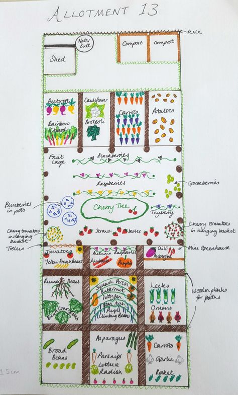 Excited for my first allotment, loads of work needed but decided to do a plan first.... Allotment Ideas Budget, Allotment Ideas Inspiration, Allotment Planner, Allotment Design, Allotment Plan, Allotment Shed, Allotment Ideas, Veg Patch, Garden Layout Vegetable