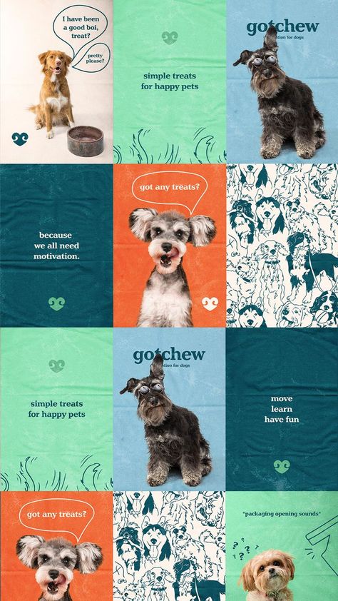 Gotchew is a brand that sells pet training treats 💗 The heart behind this brand is to provide pet owners with high motivational, healthy treats to encourage pets to move, learn, and have fun! Key words for this brand are: Energetic, Simple, Wholesome, Playful, and Honest. Disclaimer: this is a Passion Project, not a real brand. Playful Poster Design, Pet Background, Media Branding Design, Dog Treat Packaging, Dog Marketing, Pet Food Packaging, Pet Branding, Social Media Branding Design, Pet Hotel