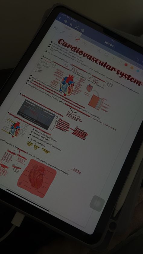 Health Science Major Aesthetic, Cardiac Aesthetic, Ekg Aesthetic, Cardiovascular Surgeon Aesthetic, Heart Doctor Aesthetic, Cardio Thoracic Surgery Aesthetic, Cardiovascular Sonography Aesthetic, Emt Student Aesthetic, Heart Surgery Aesthetic