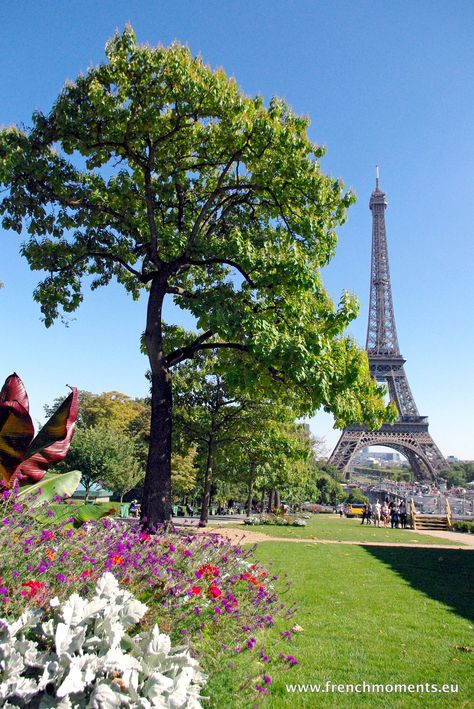 Trocadero Gardens Paris, Trocadero Paris, Paris Tour Eiffel, Tower Garden, London Summer, Paris Aesthetic, Europe Trip, The Eiffel Tower, Lake Como