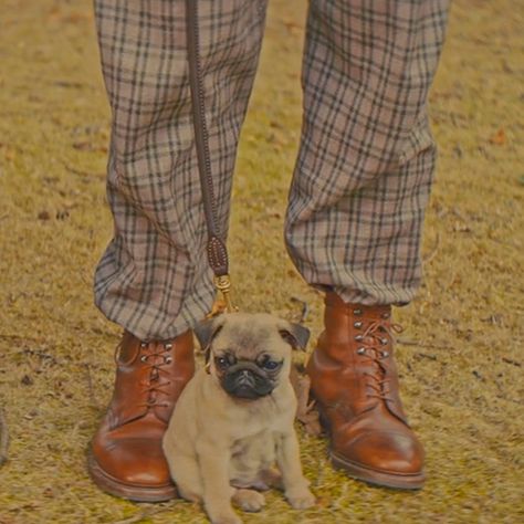 Kingsman Harry, Eggsy Kingsman, Kingsman Movie, The Kingsman, Eggsy Unwin, The Golden Circle, Orange Carpet, Cartoon Books, Taron Egerton