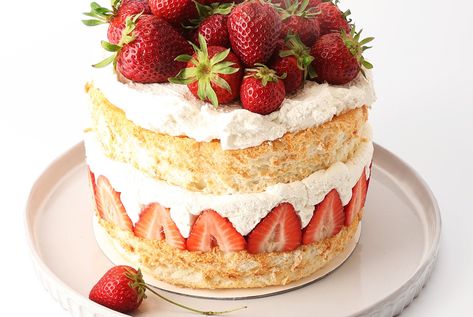 Simple Strawberry Cake, Strawberry And Cream Cake, Strawberry Layer Cakes, Easy Cakes To Make, Kitchen Colours, Strawberry And Cream, Cream Cake Recipe, Layered Cakes, Shop Photography