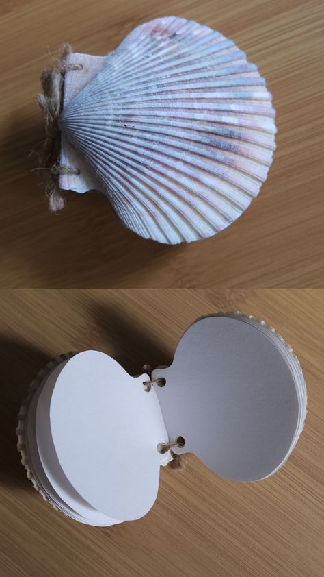 Diys With Seashells, Aesthetic Cardboard Crafts, Seashell Notebook, What To Do With Shells, Clam Shell Crafts, Shell Journal, Diy Seashell Crafts, Shell Book, Seashell Diy