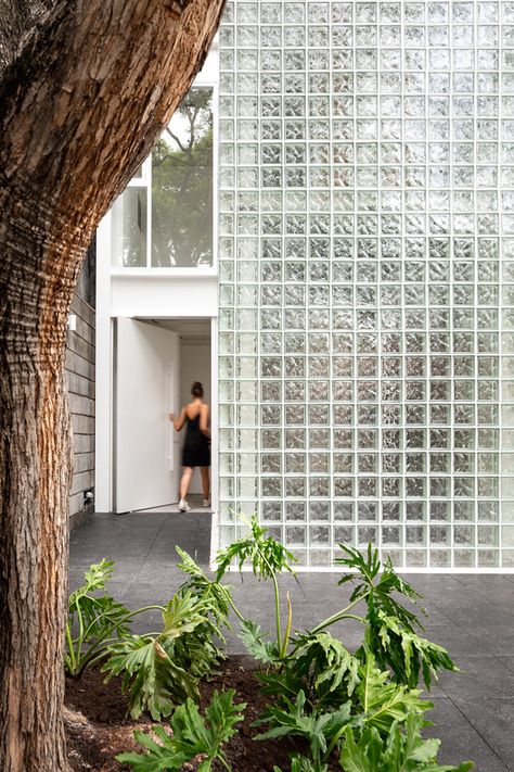 Gallery of Avenida Central Building / Emilio Alvarez Abouchard Arquitectura - 14 Frosted Glass Greenhouse, Glass Block Building, Glass Block Facade, Glass Brick Facade, Vitroblock Ideas, Glass Bricks Ideas, Glass Brick Wall, Glass Blocks Wall, Glass Block Windows