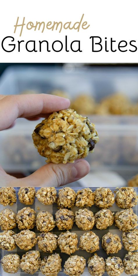 Indulge without guilt by making these delicious Homemade Granola Bites! This no-bake recipe from Small Town Scratch is the perfect solution for all your sweet cravings. With wholesome ingredients and a flavour burst from chocolate chips, it's never been easier to enjoy a healthy treat. #easysnack #healthysnack #snackideas #no-bake #simple #easysnackideas #granolabites #homemade #homemadegranolabites #funinthekitchen #snacklover #kidfriendly Homemade Granola Bars Healthy, Granola Cookies, Granola Bites, No Bake Granola Bars, Best Granola, Healthy Granola Bars, Baked Granola, Granola Recipe Bars, Snack Healthy