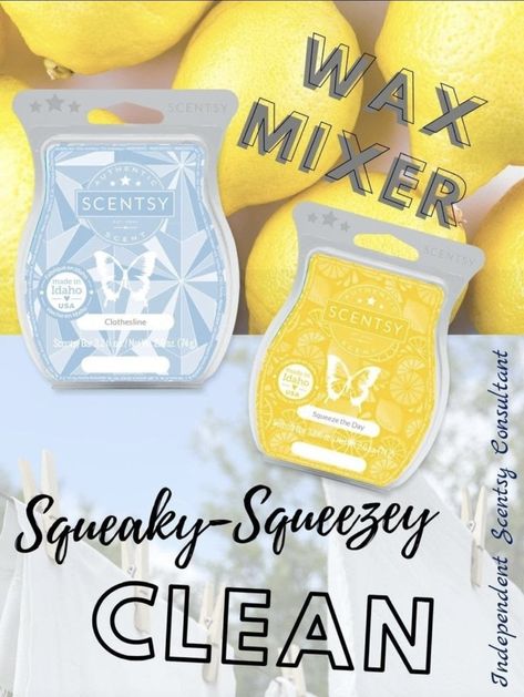 Scentsy Mixers, Scentsy Sample Ideas, Scentsy Mixology, Scentsy Pictures, Scentsy Recipes, Scentsy Diffuser, Scentsy Marketing, Scentsy Candles, Scentsy Ideas