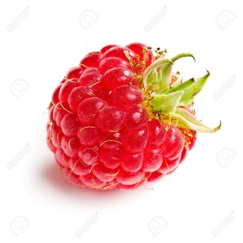 Tasty Raspberry Fruit. Studio Shot On White Background. Stock ... Vegetable Pictures, Reference Photos For Artists, Raspberry Fruit, Music Drawings, Watercolor Fruit, Fruit Photography, Pretty Wallpaper Iphone, Studio Shoot, Fruit And Veg