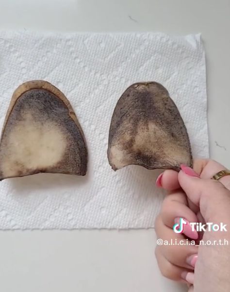 ‘Potatoes in socks’ flu remedy shocks TikTok: ‘What came out of my body?’ Potato Sickness Remedy, Sick Remedies Body Aches, Potato In Socks For Sickness, Onion Sock Remedy, Garlic In Socks Sleep, Potatoe On Feet For Sickness, Wet Socks For Cold, Potato In Sock Remedy, Onion In Sock Remedy For Sickness