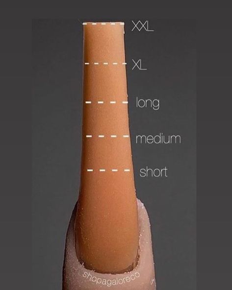 Chynn Le Nail Trap💅🏽 on Instagram: “Nail length guide that will determine price of set” Nail Length Chart, January Nail Designs, Holiday Nails Christmas, Nail Prices, Acrylic Nails Coffin Pink, Nail Forms, Instagram Nails, Nail Fungus, Nail Length