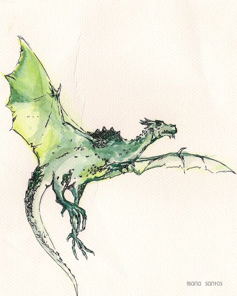 Wyvern illustration from "Dragonology". Wyvern Sketch, Wings Of Fire Dragons, Drawing Book, Wings Of Fire, Zoology, Dragon Art, Book Binding, Dragon Tattoo, Art Classes