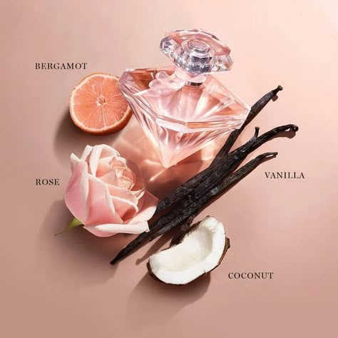 Perfume Guide, Lilin Aroma, Coconut And Vanilla, Fragrances Perfume Woman, Vanilla Perfume, Perfume Collection Fragrance, Rose Perfume, روتين العناية بالبشرة, Perfume Scents