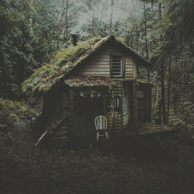 Forest Cottage Aesthetic, Cabin In The Woods Aesthetic, Forest Moodboard, Witchcraft Wallpaper, Mountain Aesthetic Wallpaper, Forest Witch Aesthetic, Witch Cabin, Witches Cottage, Dark Forest Aesthetic