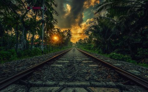 Train railway wallpaper, nature, landscape, sunset, palm trees wallpaper Sri Lanka Desktop Wallpaper, Wallpaper For Laptop, Sunset Palm Trees, Palm Trees Wallpaper, Wallpaper Dekstop, Tropical Wallpaper, Lit Wallpaper, Desktop Background, Tree Wallpaper