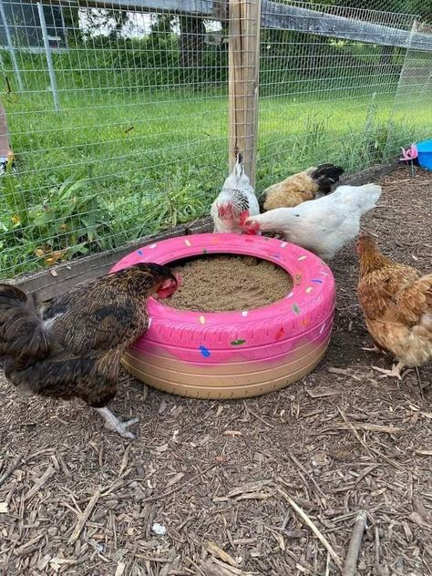 Cute Chicken Coops, Chicken Coop Garden, Chicken Pen, Backyard Chicken Coop Plans, Diy Chicken Coop Plans, Chicken Coop Run, Backyard Chicken Farming, Raising Backyard Chickens, Chicken Coop Designs