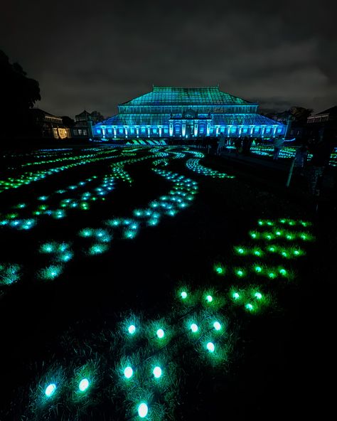 If you only see one set of Christmas lights in London this year make it Kew Gardens!! A jaw droppingly beautiful event #kewgardens #kewgardenslondon #kewgardenschristmas #kewgardenschristmaslights #londonchristmas #londonchristmaslights #londonchristmas2024 #christmaslondon #christmasinlondon Kew Gardens Christmas, London Christmas Lights, Kew Gardens London, London Christmas, Kew Gardens, Destinations Travel, Amazing Destinations, Christmas Lights, Travel Blogger