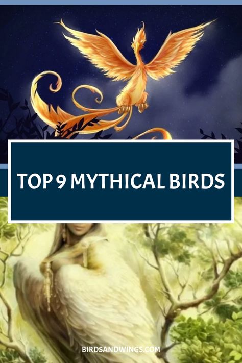 A graphic featuring representations of mythical birds with a headline "Top 9 Mythical Birds" above illustrations of a phoenix in flight and a woman with bird-like features. Mythical Bird Creatures, Types Of Mythical Creatures, Mythical Creatures Art Mythology, Drawing Mythical Creatures, Magical Creatures Mythology, Eagle Facts, Mythology Creatures, Mythical Creatures Drawings, Names Of Birds