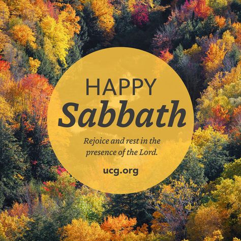 It's finally time to unwind and enjoy the Sabbath. Take this opportunity to connect with God and feel His love surrounding us all! 🧡 #HappySabbath #Sabbathrest Sabbath Rest, Connect With God, Presence Of The Lord, Happy Sabbath, Connecting With God, Feelings, Quick Saves