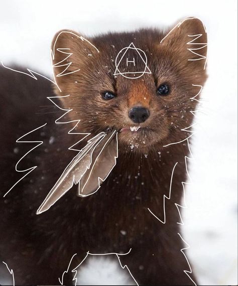 Ferret Therian Mask, Therian Doodles, Therian Pfp, Therian Stuff, Therian Mask, Maybe In Another Life, Getting To Know Someone, Cat Mask, Animal Masks