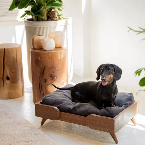 heydjangles's MCM Dog Beds + Product Set on LTK Modern Dog Beds, Modern Dog Bed, Hey Dj, Pet Bowl Stand, Wood Dog Bed, Dog Bed Modern, Small Pet Bed, Elevated Dog Bowls, Ceramic Dog Bowl