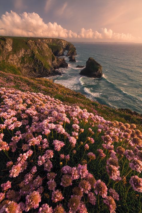 T Wallpaper, Wallpaper Estetika, Landscape Designs, Pretty Landscapes, Spring Aesthetic, Alam Yang Indah, Nature Aesthetic, Big Sur, Pretty Places