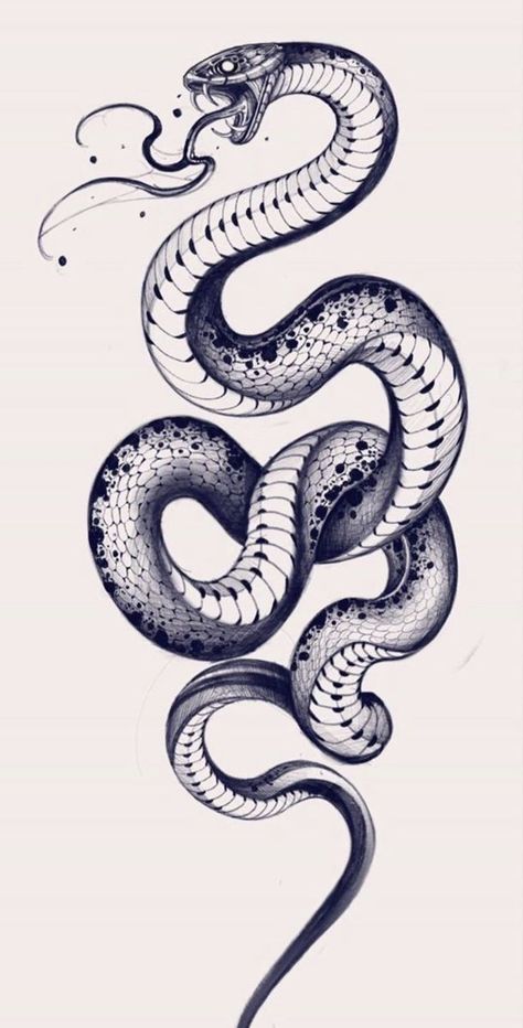 Black Snake Tattoo Design, Snake Drawing Tattoo, Snake Tattoo Drawing, Snake Tattoo Sketch, Snake Tattoo Stencil, Cobra Tattoo Design, Snake Drawings, Black Snake Tattoo, Snake Sketch