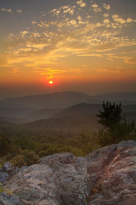 Just 75 miles from the bustle of Washington, D.C., Shenandoah National Park is your escape to cascading waterfalls, spectacular vistas and one of the best drives on the east coast. There are 75... Shenandoah National Park Aesthetic, Shenandoah National Park Fall, Mountains Sunrise, Sunrise Over Mountains, Mount Rainier Sunset, Skyline Drive, Cascade Waterfall, Shenandoah Valley, Mountain Stream