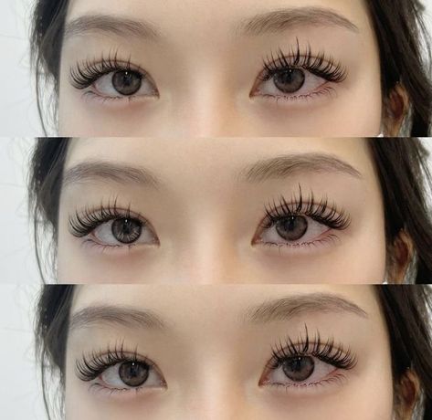 Eyelash Extensions On Monolids, Korean Lash Extensions, Lashes Aesthetic, Elegance Hair, Natural Fake Eyelashes, Lash Extentions, Bentuk Alis, Lashes Fake Eyelashes, Hair Play