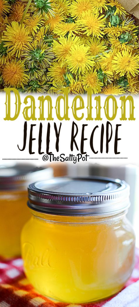 HOMEMADE DANDELION JELLY | The Salty Pot | Dandelion Jam Recipe, Vodka Jelly, Peach Freezer Jam, Dandelion Coffee, Fruit Jam Recipes, Pickles Canning, Flowers Recipes, Natural Eating, Edible Flowers Recipes