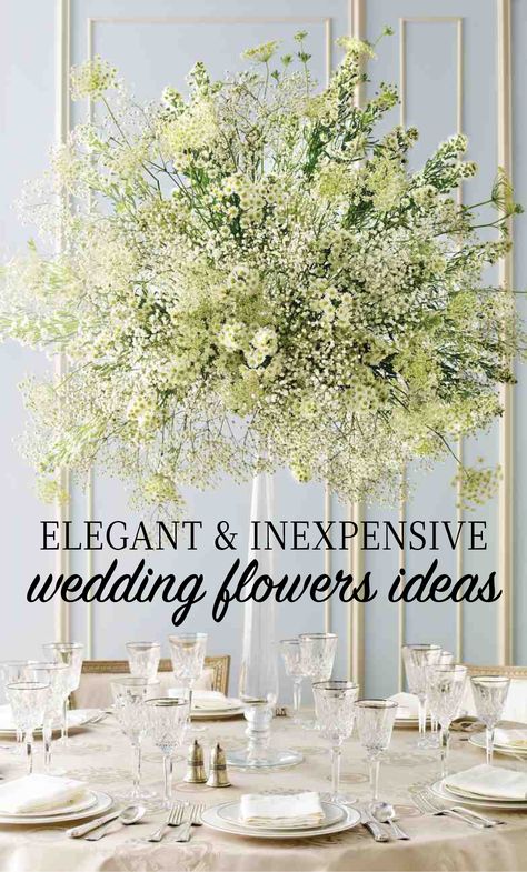 Affordable Wedding Flowers, Inexpensive Wedding Flowers, Wedding Flower Ideas, Fresh Wedding Flowers, Cheap Wedding Flowers, Cheap Flowers, Unique Wedding Flowers, Wedding Floral Centerpieces, Queen Anne's Lace