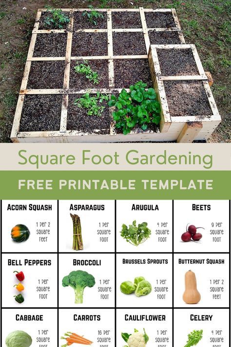 square foot garden and free printable template pin for pinterest Garden Planning Template, Square Foot Gardening Plans, Veggie Garden Layout, Square Foot Gardening Layout, Garden Grid, Square Foot Garden, Vegtable Garden, Raised Garden Bed Plans, Raised Vegetable Gardens