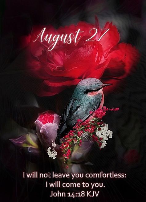 August 27 Pictures, Photos, and Images for Facebook, Tumblr, Pinterest, and Twitter August 27 Quotes, August 27 Blessings, August Blessings, December Scriptures, August Images, August Quotes, Morning Scripture, July Images, Memory Verses