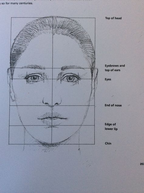 Portrait measurements Portrait Measurements Drawing, How To Make A Self Portrait Drawing, Face Measurements Drawing, Face Portrait Drawing, Portrait Guide, Face Proportions Drawing, Beautiful Pencil Drawings, Face Proportions, Portrait Tutorial