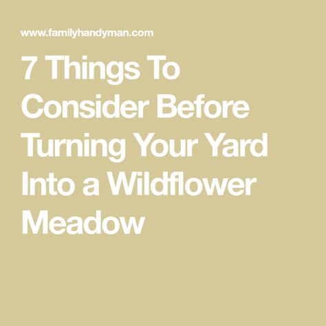 7 Things To Consider Before Turning Your Yard Into a Wildflower Meadow Replace Lawn, Wild Flower Meadow, Wildflower Field, Meadow Garden, Overwintering, Wildflower Meadow, Soil Testing, Soil Layers, Wildflower Garden