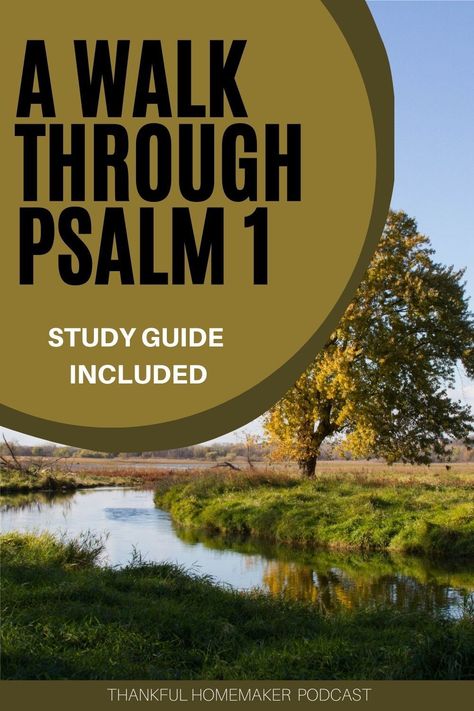 Psalm 1 stands as an introduction to the rest of the Psalms. It describes two different paths that we frequently see in the Psalms; the way of the righteous and the way of the wicked. We're going to walk through this Psalm together in today's episode.⁣ Psalm 1 Bible Study, Psalm 1 1-3, Bible 101, Church Marketing, Study Activities, Christian Homemaking, Bible Topics, Psalm 1, Christian Counseling