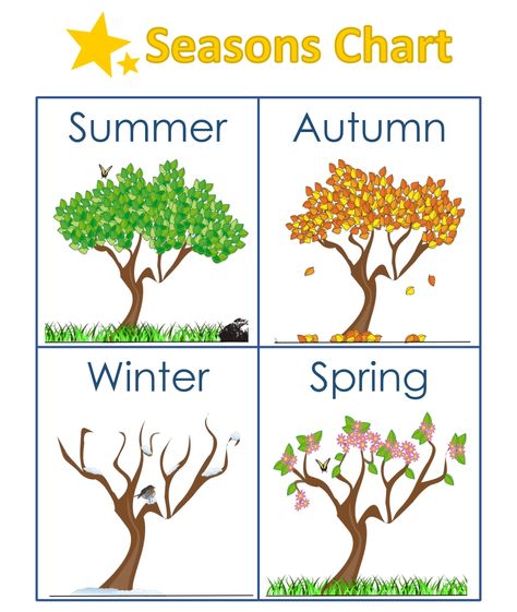 Kindergarten Seasons Worksheets Seasons Kindergarten, Season Project, Seasons Chart, Seasons Preschool, Seasons Lessons, Preschool Charts, Seasons Worksheets, Preschool Weather, Class 2023