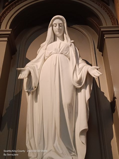 Statuary, Divinity, Mother Mary, Catholicism Saint Mary Statue, Virgin Mary Sculpture, Crying Blood, Catholic Statues, Virgin Mary Statue, Statue Art, Mary Statue, Saint Mary, Saint James